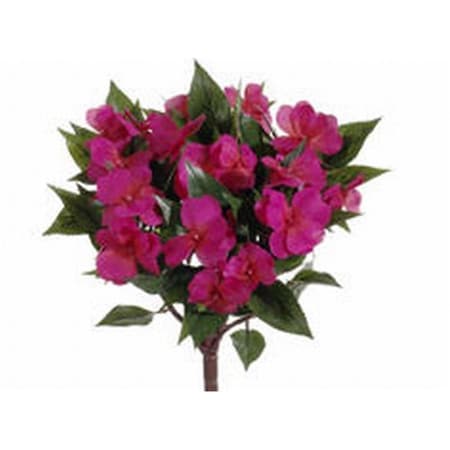 Allstate 13.7 in. New Guinea Impatiens Bushes Beauty-, 6PK FBI633-BT