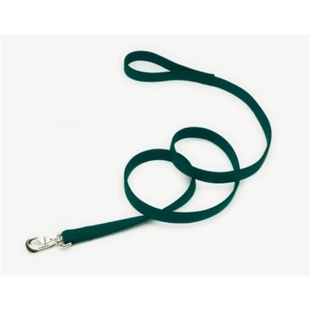 Petpath Coastal Pet Products 2906 Double 1 in. Lead - Hunter PE741101