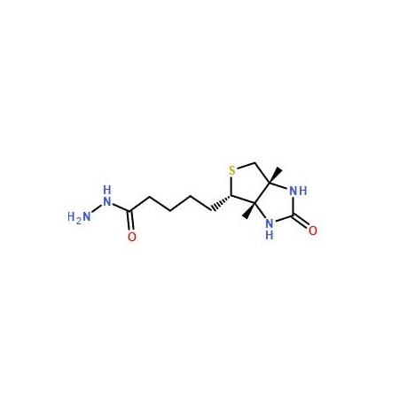 Ak Scientific Biotin hydrazide (1g), CAS 66640-86-6 0233AC-1g