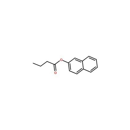 Ak Scientific 2-Naphthyl butyrate (1g), CAS 5856-33-7 X6636-1g