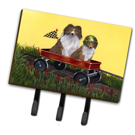Carolines Treasures 6 x 2 x 9 in. Sheltie Sheepdog Express Leash or Key Holder PPP3272TH68