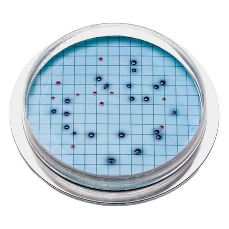 Hach Agar Plates, 10 mL, PK15 2805215