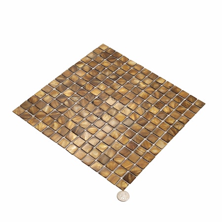 Apollo Tile Light Bronze 12 in x 12 in Shell Polished Floor and Wall Mosaic Tile 20 sqft/case, 20PK APLSMA88001A