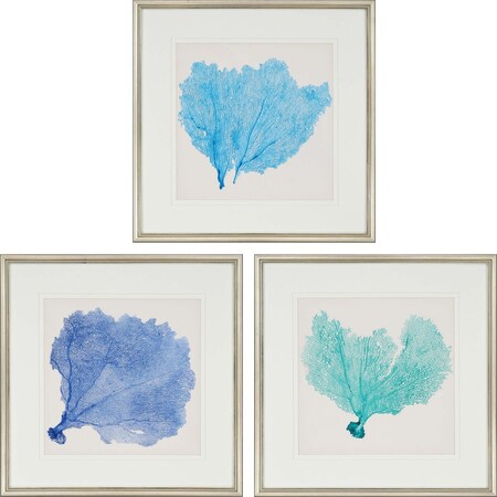 Homeroots Set Of Three Sea Fan II Silver Framed Print Wall Art, 3PK 526901