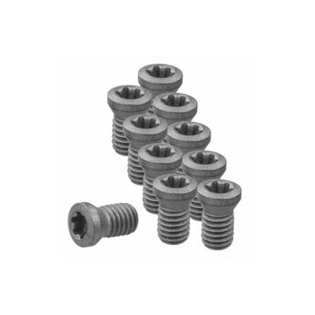 Garant Set of Insert Screws, 10 Pieces 219826