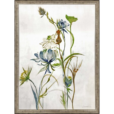 Homeroots Late Summer Wildflower II Framed Art Silver Picture Frame Print Wall Art 416411