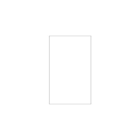 Bubblefast 8 1/2 x 14'' Weather-Resistant Laser Labels-1 Label per Sheet BFLL271WR