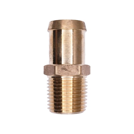 Auveco Brass Beaded Hose Barb 3/4in To Male Pipe 1/2in Adapter, 5PK 418
