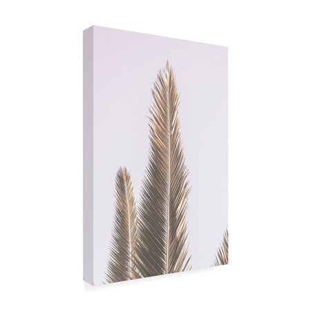 Trademark Fine Art Outdoor Canvas Art - Shot by Clint 'Phoenix Palm' Wall Art for Patios, or Gardens 1X25308-OC3047WR