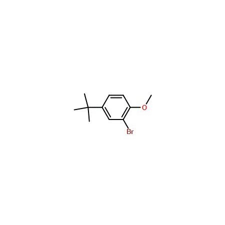 Ak Scientific 2-Bromo-4-tert-butyl-1-methoxybenzene (25g), CAS 41280-65-3 V5849-25g