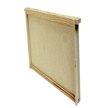 Harvest Lane Honey FRAMES/FOUNDATION DEEP WWFFD-101