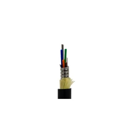 Cable Wholesale Armored 6 Strand Indoor/Outdoor Fiber Optic Distribution Cable, OM1 62.5/125 Multimode, 20F3-206NF
