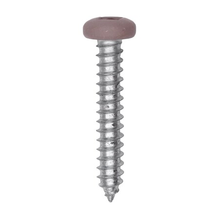 8 x 1in Tan Painted Square Drive Pan Head Tapping Screw, 100PK