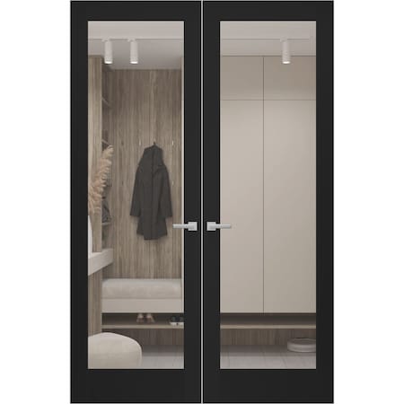 Sartodoors Hidden Double Doors, Lucia 2166 Matte Black Concealed Metal Frame 64 x 84 (2* 32x84) Right Inswing LUCIA2166DMF-BLK-64x84-RH-I