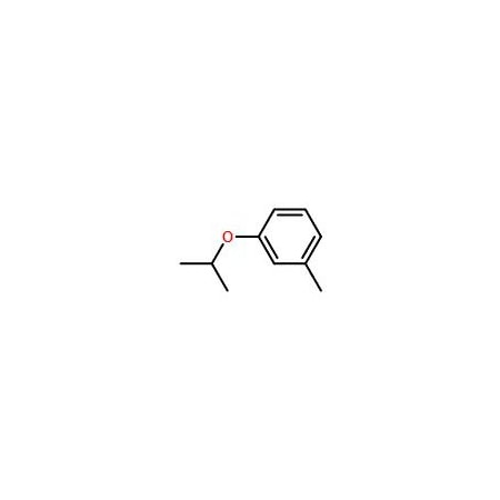 Ak Scientific 3-Isopropoxytoluene (25g), CAS 19177-04-9 V4050-25g