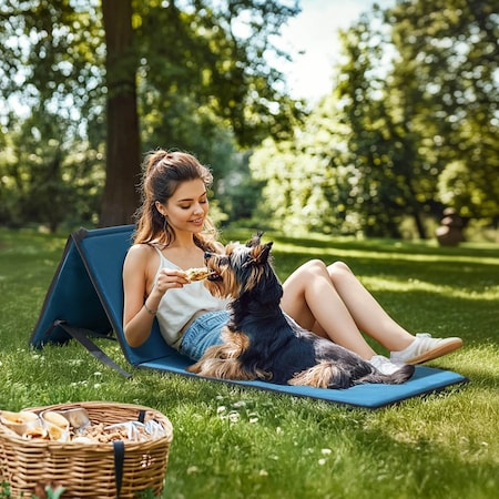 Sunjoy Portable Backrest Chair 1PK Navy Blue F802003002