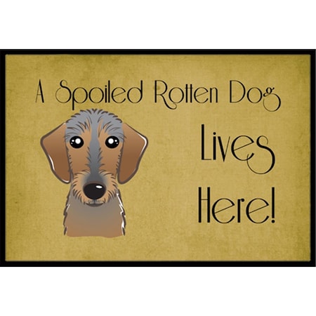 Carolines Treasures BB1481JMAT Wirehaired Dachshund Spoiled Dog Lives Here Indoor & Outdoor Mat, 24 x 36 in. BB1481JMAT