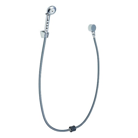 Chicago Faucet Handheld Showerhead, Stainless Steel 150-LADPVC