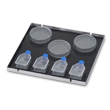 Endless Games 46 x 46 cm Culture Platform with Mat EN1401432