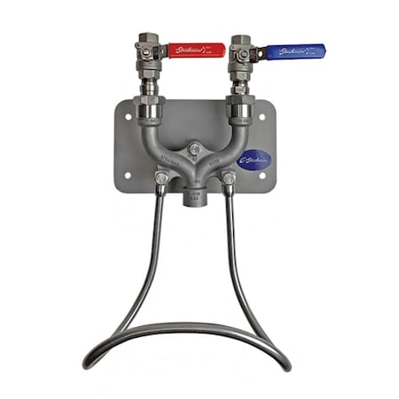 Strahman Washdown Equipment M-750, Stainless, Wall-Mounted, Ball Valve Top Entry Only M750WBSS