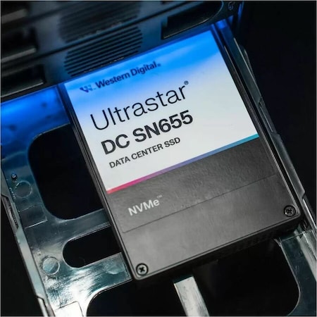 Sandisk Technologies 7.68TB NVME U.3 SFF-15MM RI-1 DW/D, DUAL PORTDP, TCG-RUBY, GENERIC 0TS2468