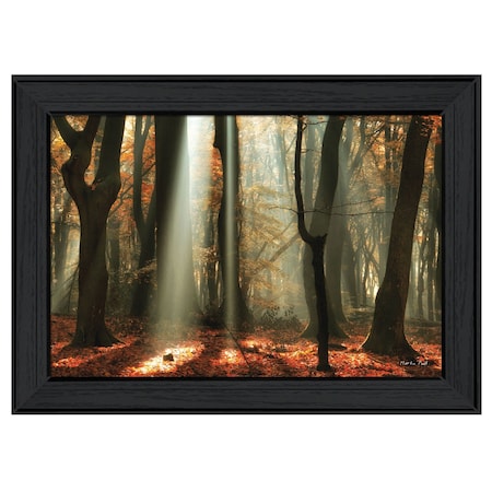 Homeroots Beam Me Up Black Framed Print Wall Art 405472