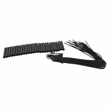Motorcraft Liftgate Control Module Connector,  WPT1161