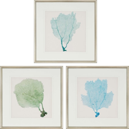 Homeroots Set Of Three Sea Fan I Silver Framed Print Wall Art, 3PK 526900