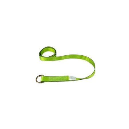 Safe N Secure safensecure/2x100/GTechnicLassoStrapw/DringBett TOW-100-WDR-I