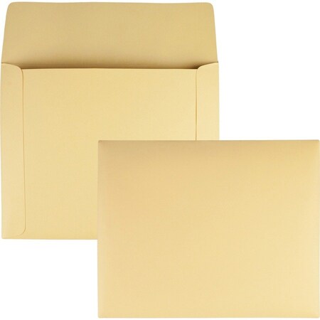 Quality Park QualityPrk, FILING ENVELOPES, LETTER SIZE, CAMEO BUFF, 100PK 89604