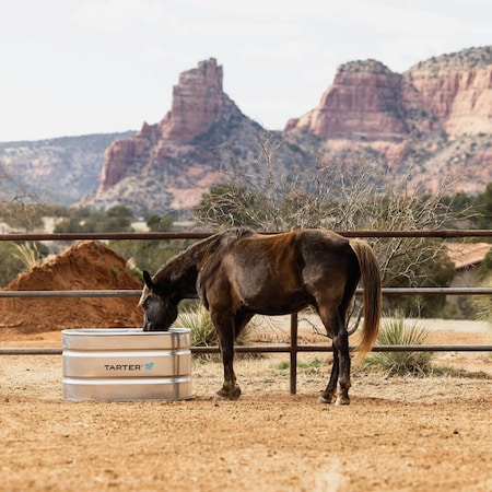 Tarter 100 Gal. Zinc-Coated Steel Galvanized Stock Tank WT224