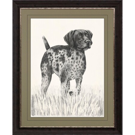 Homeroots Canine Gaze Brown Framed Print Wall Art 527038