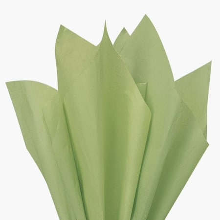 Nashville Wraps Jade Green Color Tissue Paper, 20x30, 24 Soft Fold Sheets, 24PK CTQSA