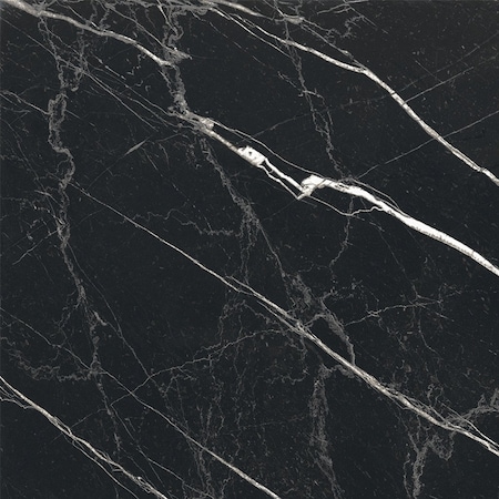 Apollo Tile Regalia 24x24 in. Nero Black Matte Color Body Porcelain Marble-look Vein Large Tile, 4PK APLVEL88NER2424