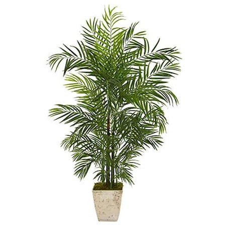 Dare2Decor 63 in. Areca Artificial Palm Tree in Country White Planter DA3085579