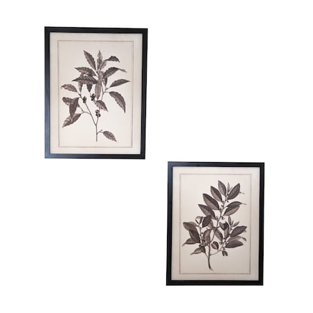 Homeroots Set of Two Black And White Flower Framed Art, 2PK 636041