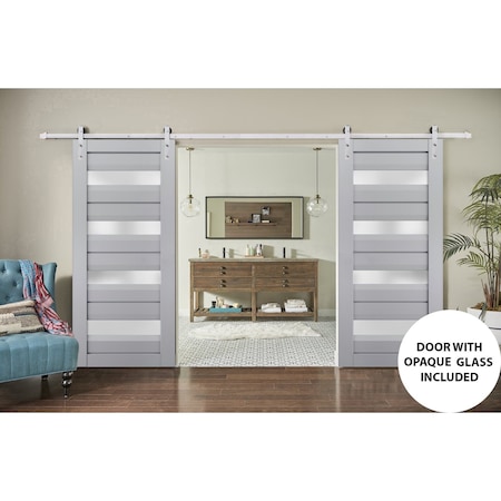 Sartodoors Sturdy Double Barn Door Grey Solid Core Modern Interior VEREGIO7455DB-S-GRE-36