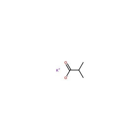 Ak Scientific Potassium Isobutyrate (1g), CAS 19455-20-0 7249AF-1g