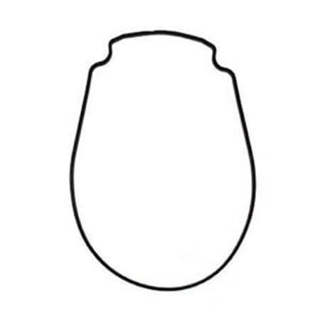 Ala-Pt A Sealing Gasket 793006 APCG3011