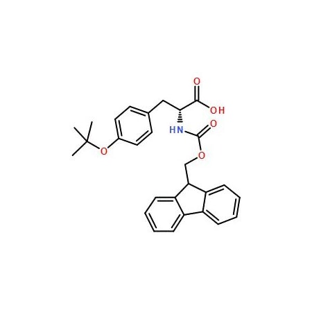 Ak Scientific Fmoc-D-Tyr(tBu)-OH (10g), CAS 118488-18-9 G530-10g