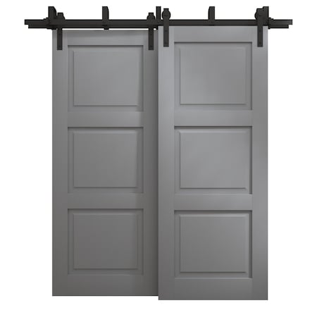 Sartodoors Sliding Closet Barn Bypass Doors 64 x 84 inches, Ego 5010 Painted Grey Oak, Modern 6.6ft Rails Har EGO5010BBB-SEK-6484