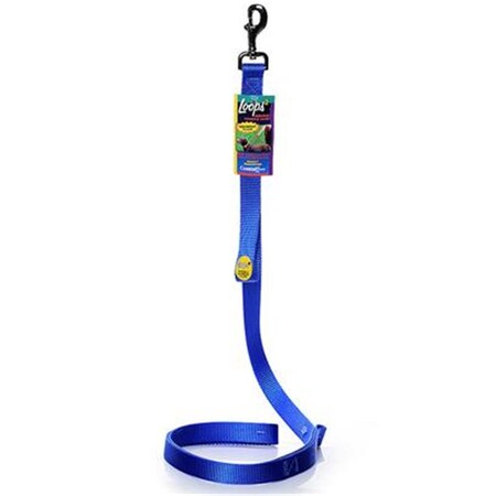 Coastal Pet 1X6 Loops2 Lead W-Hndl Blue 764481