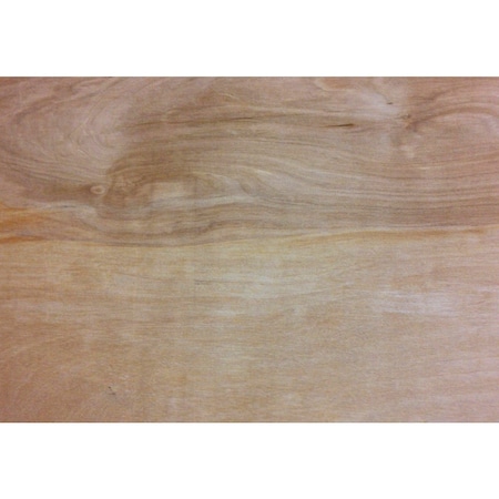 Prowood 1/2''x24''x24'' Birch Plywood 316410