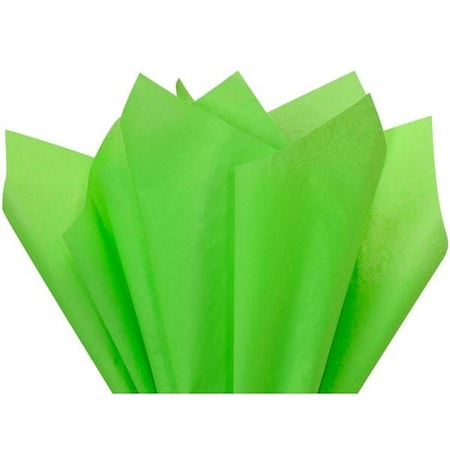 Nashville Wraps Groovy Green Color Tissue Paper, 20x30, 24 Soft Fold Sheets, 24PK CTQGG
