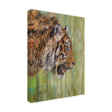 Trademark Fine Art Outdoor Canvas Art David Stribbling 'Amur Tiger Profile' Wall Art for Patios, or Gardens GRL01550-OC1419WR