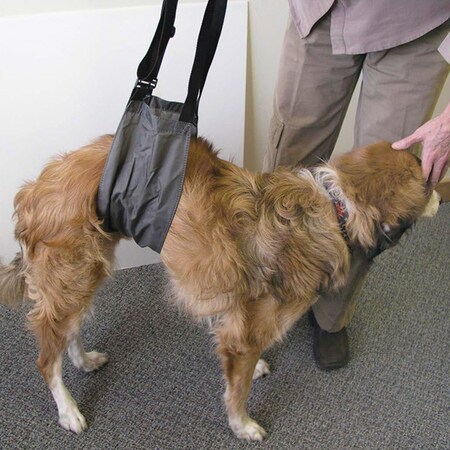 Jorgensen Laboratories Jorvet E-Z Lift, for Large Animals J0743A