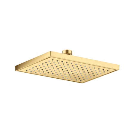 Axor ShowerSolutions Showerhead Square 245/185 1-Jet, 2.5 GPM in Brushed Gold Optic 35370251