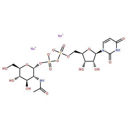 Ak Scientific UDP-N-acetyl-D-Glucosamine sodium salt (25mg), CAS 91183-98-1 9186AJ-25mg
