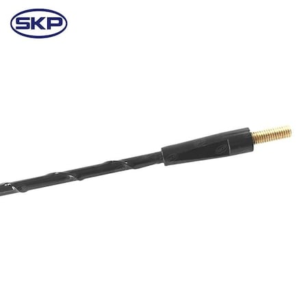 Skyward Automotive Products Radio Antenna,  SK956022