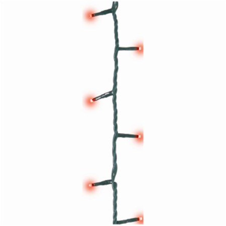 Competencia 100 LED Star Lights, Red CO3859736